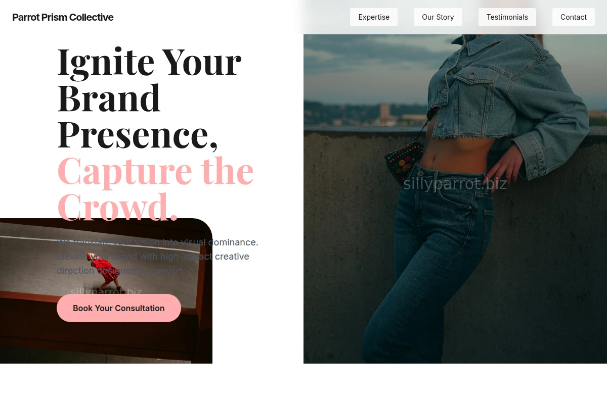 Vivid Creative Direction